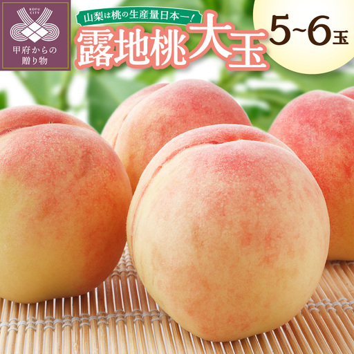 〈2027年度配送分〉露地桃大玉 5-6玉（約1.8kg）