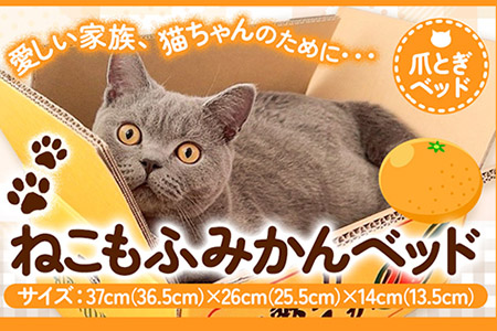 猫 ねこもふみかんベッド 濱田紙販売株式会社