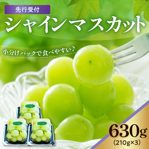 【先行予約】 【数量限定】 令和8年産 シャインマスカット 210g × 3パック 計 630g 2026年9月上旬頃～お届け予定