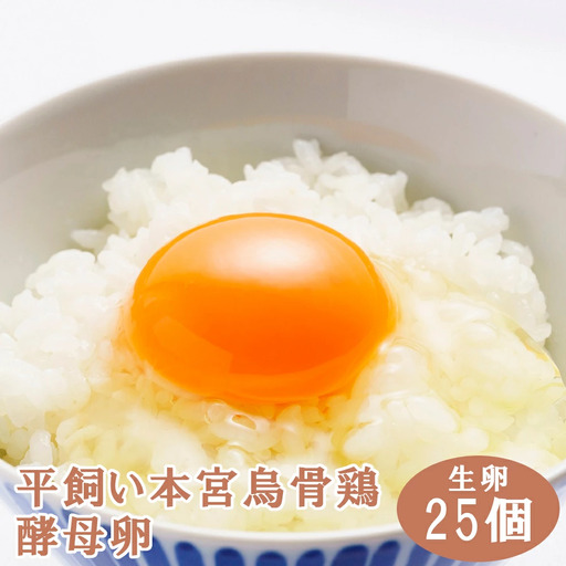 福島県本宮市産　平飼い本宮烏骨鶏酵母卵　生卵25個　【07214-0013】