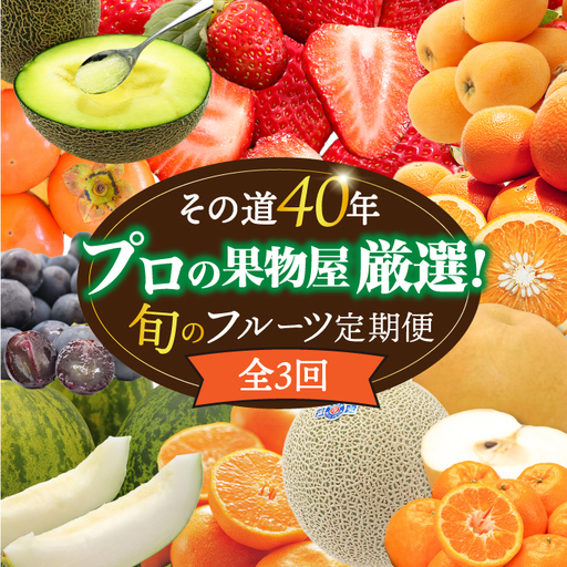 【3回定期便】フルーツ定期便  贅沢宝庫 [SDZ024]