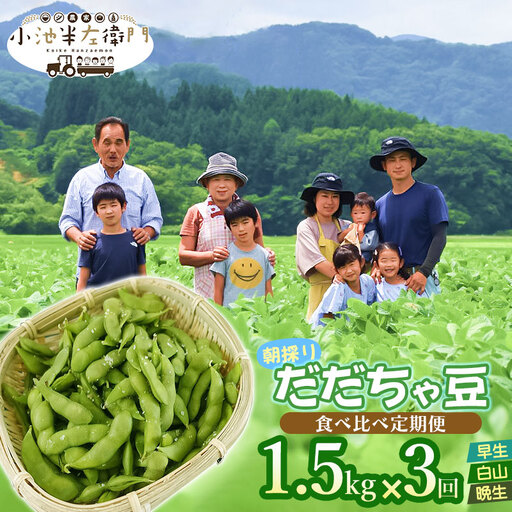 [定期便][令和8年産先行予約]朝採りだだちゃ豆 食べ比べ 1.5kg (500g×3袋)×3回 お届け 早生・白山・晩生 枝豆 小池半左衛門