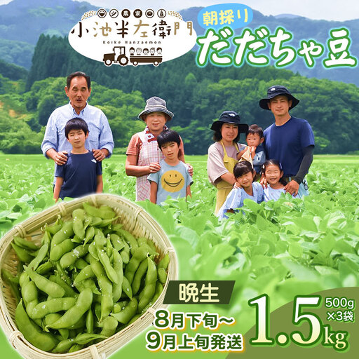 [令和8年産先行予約]朝採りだだちゃ豆 [晩生]1.5kg (500g×3袋) 枝豆 小池半左衛門