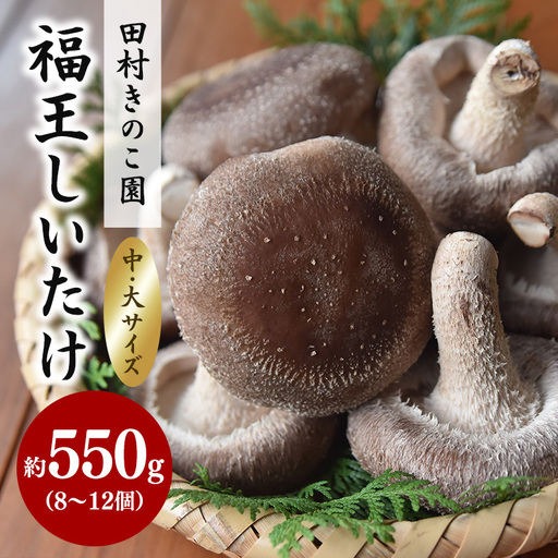 [先行販売/2026年10月末以降発送]福王しいたけ 中〜大サイズ 約550g IA-001