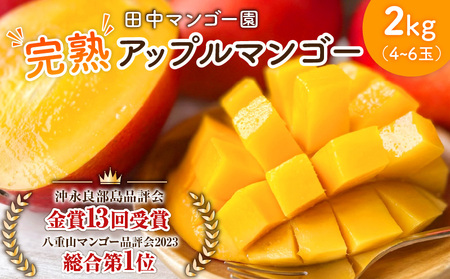 【 2026年 先行予約 】 沖永良部 完熟 アップル マンゴー 4～6玉で2kg W001-010u 果物