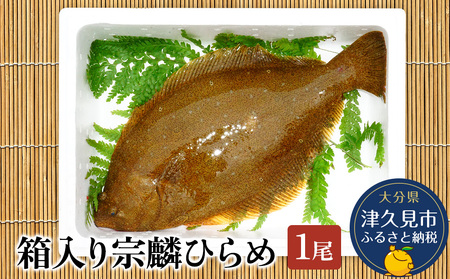 箱入り 宗麟 ひらめ 1尾 | ひらめ 津久見市