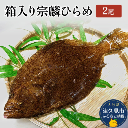 夫婦 仲良く 宗麟 ひらめ | 活 ひらめ 津久見市