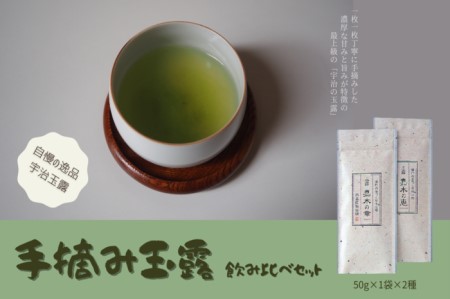 玉露飲み比べセット 宇治茶 手摘み 玉露飲み比べセット【50g×2袋】