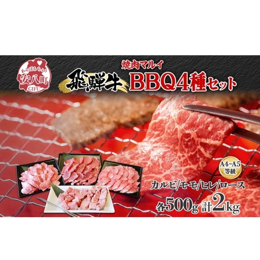 焼肉マルイ 串付き 飛騨牛BBQセット 約2kg 焼肉 串焼き BBQ セット カルビ ヒレ肉 モモ肉 ロース肉 お肉 肉 お家で簡単 本格 国産 国産牛 牛 牛肉 和牛 秘伝のたれ タレ付き 焼くだけ簡単 お取り寄せグルメ 送料無料 岐阜県 安八町