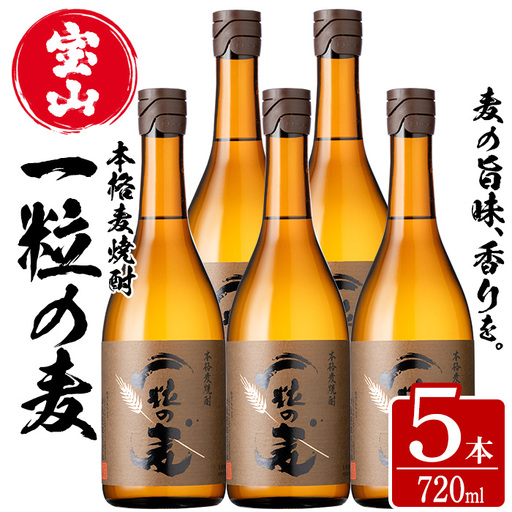 No.912 一粒の麦(720ml×5本)焼酎 麦焼酎 酒 アルコール 麦 家飲み 宅飲み 大麦 大麦麹 セット 常温 常温保存【西酒造】