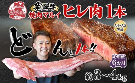 飛騨牛 ヒレ肉 ブロック A4～A5等級 1本6ヵ月定期便約3～4kg  3割×6 ヒレ シャトーブリアン 肉 牛肉 ブランド牛 お肉 和牛 お取り寄せ ご褒美 ステーキ 豪華 グルメ 焼肉 BBQ パーティー ギフト 贈り物 焼肉マルイ 岐阜県 【 安八町 】