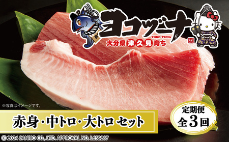 本マグロ【定期便全3回】 ヨコヅーナ贅沢セット | 本マグロ