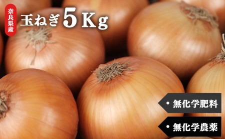 甘味たっぷり 生命の農法( 無化学農薬 ・ 無化学肥料栽培 ) 玉ねぎ 5kg | たまねぎ 慈光会自然食品販売所