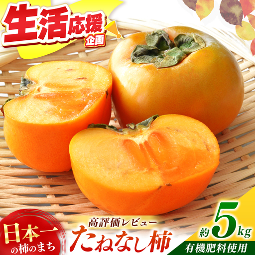 たねなし柿 約5kg | フルーツ くだもの 果物 柿 かき カキ 奈良県 五條市 家庭用 自宅用 どっさり たっぷり 種なし 種無し 種なし柿 産地直送 国産 人気 送料無料 甘い グルメ お取り寄せ 大容量 ビタミン 食物繊維 豊富 美容 健康 10月 11月 順次発送 秋 旬 味覚 食べやすい 梨子本農園 やわらかい まろやか 高評価 人気 エコファーマー認定 有機肥料
