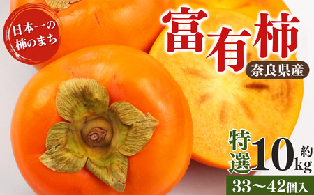 富有柿 特選 約 10kg ( 33〜 42個 入 ) | 梨子本農園