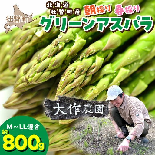＜2027年4月上旬よりお届け＞【朝採り】北海道壮瞥町産　春採りグリーンアスパラM～LL混合　約800g SBTR005
