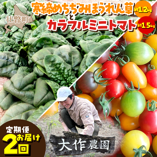 [2026年12月・2027年8月お届け]大作農園 寒締めちぢみほうれん草約1.2kg・カラフルミニトマト約1.5kg 2回お届け定期便