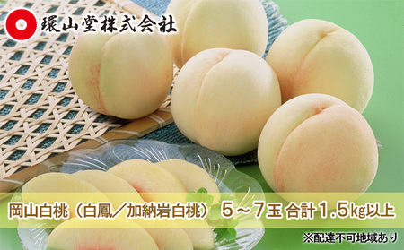 桃 2027年 先行予約 岡山 白桃（品種：白鳳／加納岩白桃）5～7玉 合計1.5kg以上