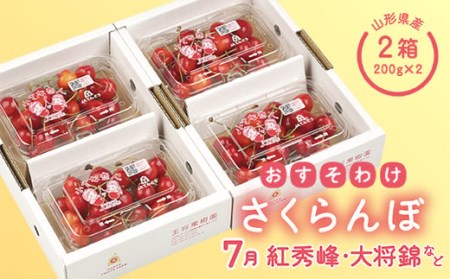【2027年先行予約】おすそ分けさくらんぼセット7月 FSY-0084