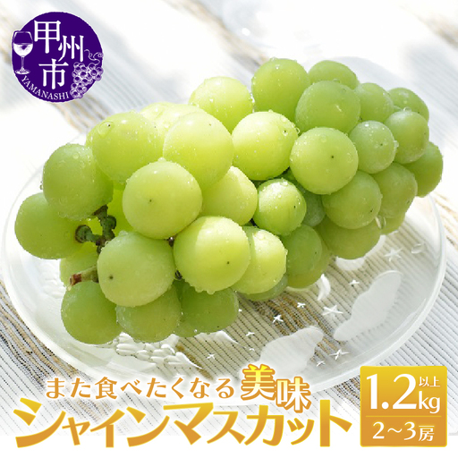 また食べたくなる 美味 シャインマスカット 1.2kg以上 2～3房【2026年発送】（MRN）B-147 シャインマスカット フルーツ