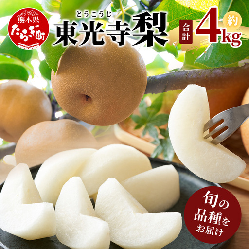 [7月下旬〜10月発送]東光寺 梨 4kg (8〜15玉) 1箱