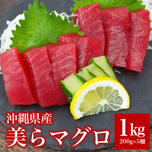 沖縄県産「旬のマグロ」をお届け！美らマグロ（1kg） 99-1