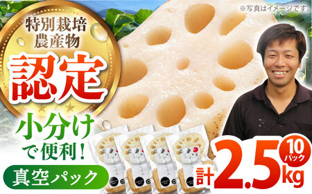 [先行予約]地元江北町産 佐賀れんこんパック 10パック(250g×10パック) [HAE016]蓮根 れんこん