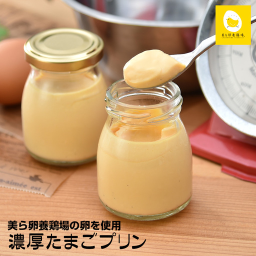 美ら卵養鶏場の卵を使用「濃厚たまごプリン」76g×8個入り
