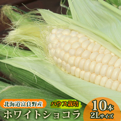 とうもろこし 富良野産 ホワイトショコラ 2Lサイズ とうもろこし【10本】