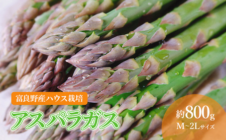 アスパラガス 富良野産 サイズ混合 ハウス栽培 アスパラ【約800g 約30本】