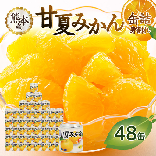 甘夏みかん 缶詰 24缶入り×2箱 計48缶 セット (身割れ) みかん 国産 007-014
