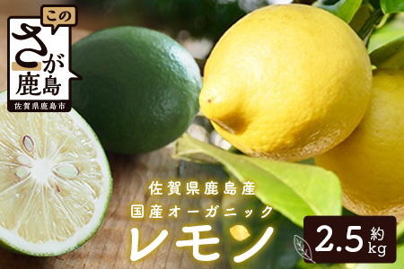 国産 オーガニックレモン 約2.5kg マイヤーレモン レモン 檸檬