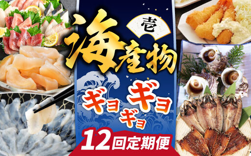 【全12回定期便】 海産物 ギョギョギョ 定期便 （壱）《壱岐市》 [JZX009] 海鮮