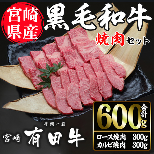 宮崎黒毛和牛焼肉セット(ロース・カルビ各300g)[AR005][(有)有田牧畜産業 食肉加工センター]