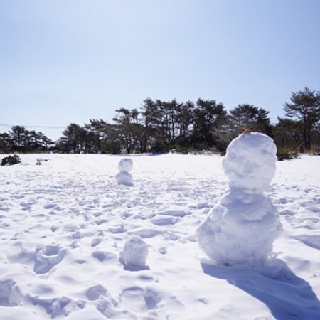〈峰山高原リゾートホワイトピーク〉　スキー場1日リフト券　4枚【1029969】