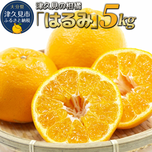 【先行予約】津久見 みかん はるみ 5kg | みかん 津久見市