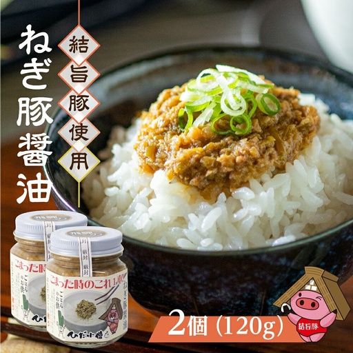 白川郷 結旨豚使用 ねぎ豚醤油 2個 ご飯のお供 国産豚 飛騨ねぎ 調味料 おにぎりの具 具材 白川村 8000円 [S303]