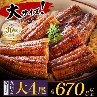 Z61-72 国産 うなぎ 蒲焼大サイズ4尾（計670g以上） うなぎ