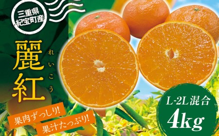 萩野農園の麗紅(れいこう) 4kg L-2L サイズ混合 みかん ミカン 柑橘 果物 くだもの フルーツ 旬 農家直送 産地直送 人気 [2027年1月末から2月末までに順次発送予定][mhn002A]