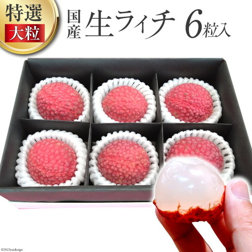 【期間限定発送】 特選 大粒 生ライチ 6粒入り