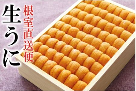 エゾバフンウニ並べ詰め250g×1折 D-40048