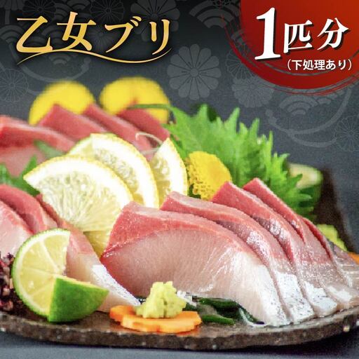 乙女ブリ3kg以上(下処理あり) 小島水産 乙女ブリ 新鮮ブリ ブリ 鰤刺し 鰤しゃぶ 鰤