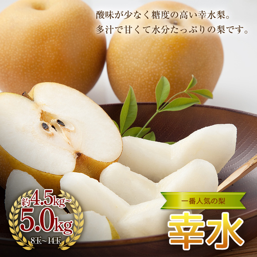 《2027年秋出荷》一番人気の梨 幸水 4.5kg～5.0kg（8～14玉） F24R-119