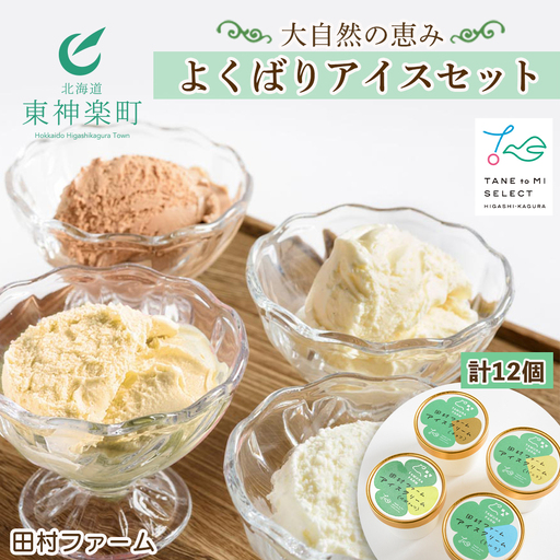大自然の恵み～よくばりアイスセット＜田村ファーム＞