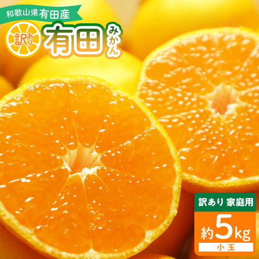 和歌山県産 有田みかん【訳あり 家庭用】約5kg 小玉 3S～Sサイズ_DI6018n