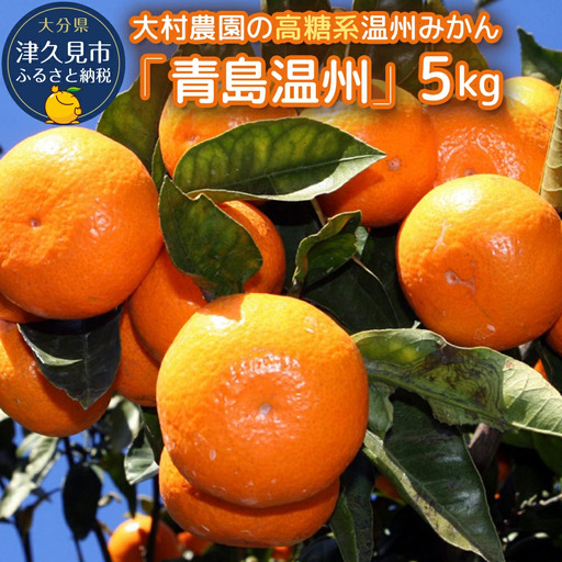 [先行予約]大村農園 温州みかん 5kg | みかん 津久見市