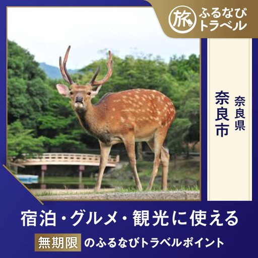【旅行支援・宿泊無期限】旅行ポイント奈良市ふるなびトラベルポイント