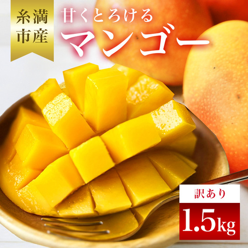 [ 先行予約 2027年 発送 ] 訳あり 沖縄県 糸満産 かねよし マンゴー アーウィンマンゴー 1.5kg 訳アリ 訳あり品 沖縄県産 アップルマンゴー 国産 完熟 果物 くだもの フルーツ 完熟 夏 特産品 沖縄 産地直送 農家直送 甘い 濃厚 糸満市 93-7