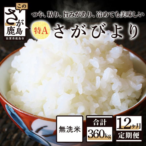 無洗米 さがびより 30kg 定期便 12回（12か月） 佐賀県産 V-37 合計360kg お米 白米 精米