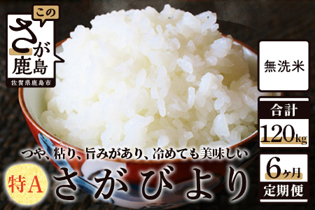 無洗米 さがびより 20kg 定期便 6回（6か月） 佐賀県産 N-15